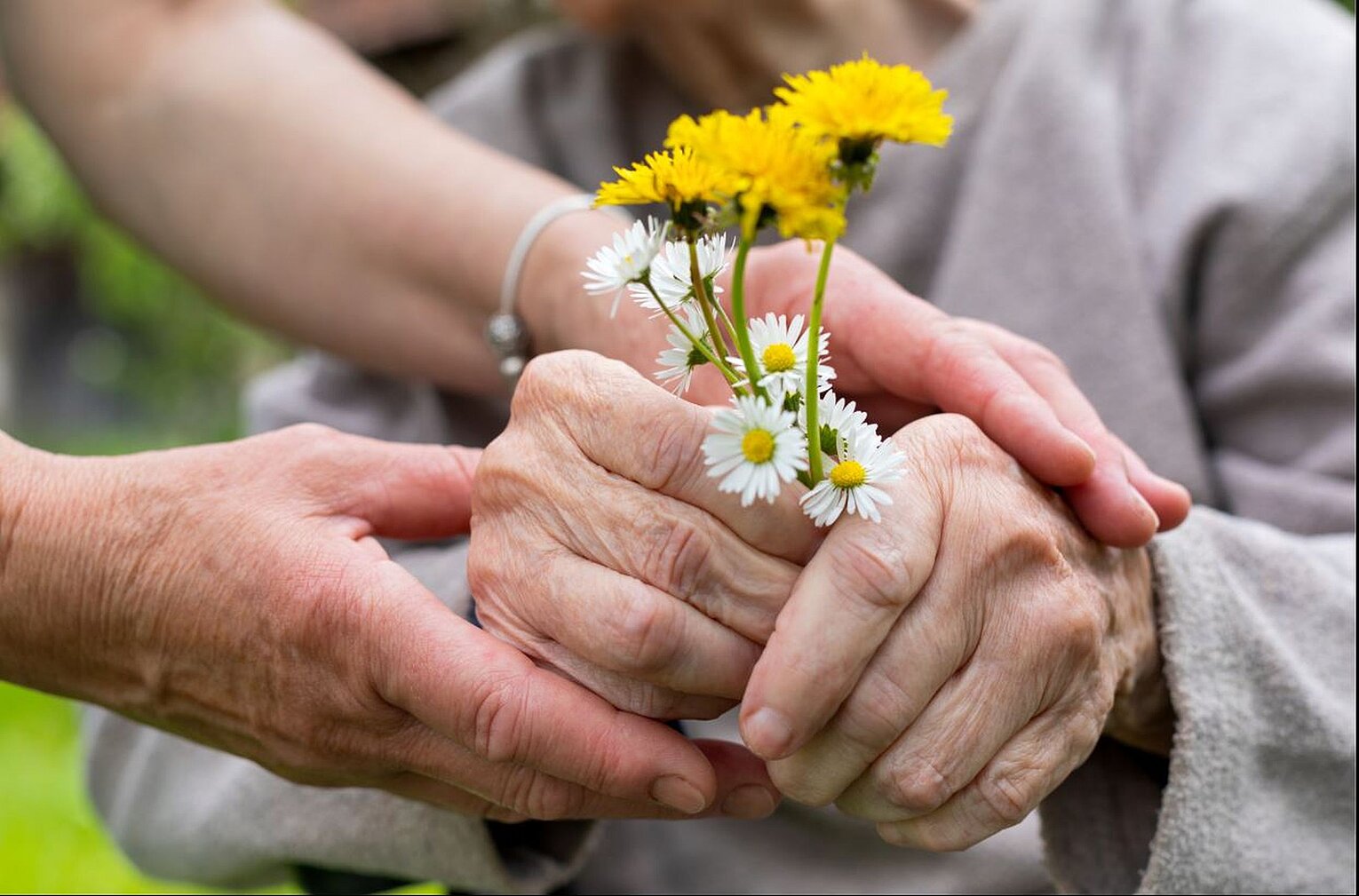 Hospizarbeit Hände halten Die Hände einer älteren Person halten Wiesenblumen. Die Hände einer jüngeren Person halten liebevoll die Hände der älteren Person.